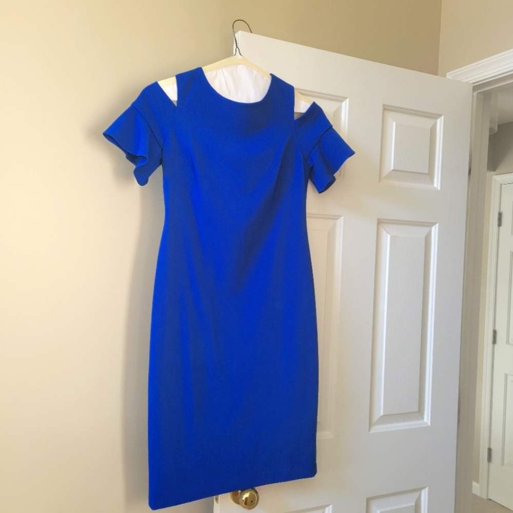 Calvin Klein Blue Ruffle Sleeve Dress